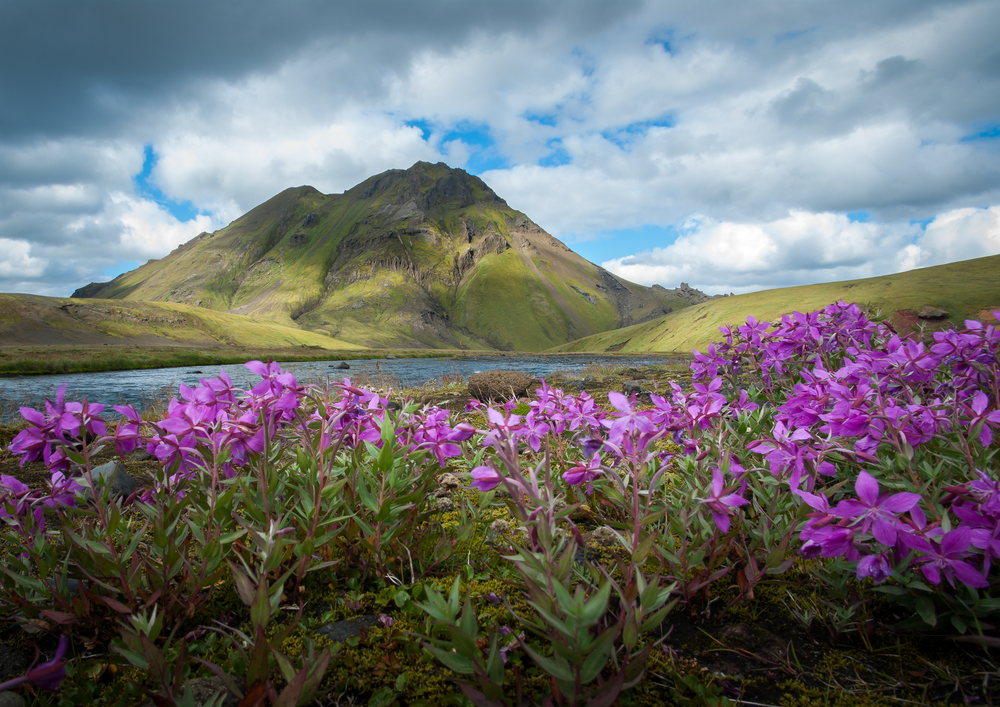 Islandia IT